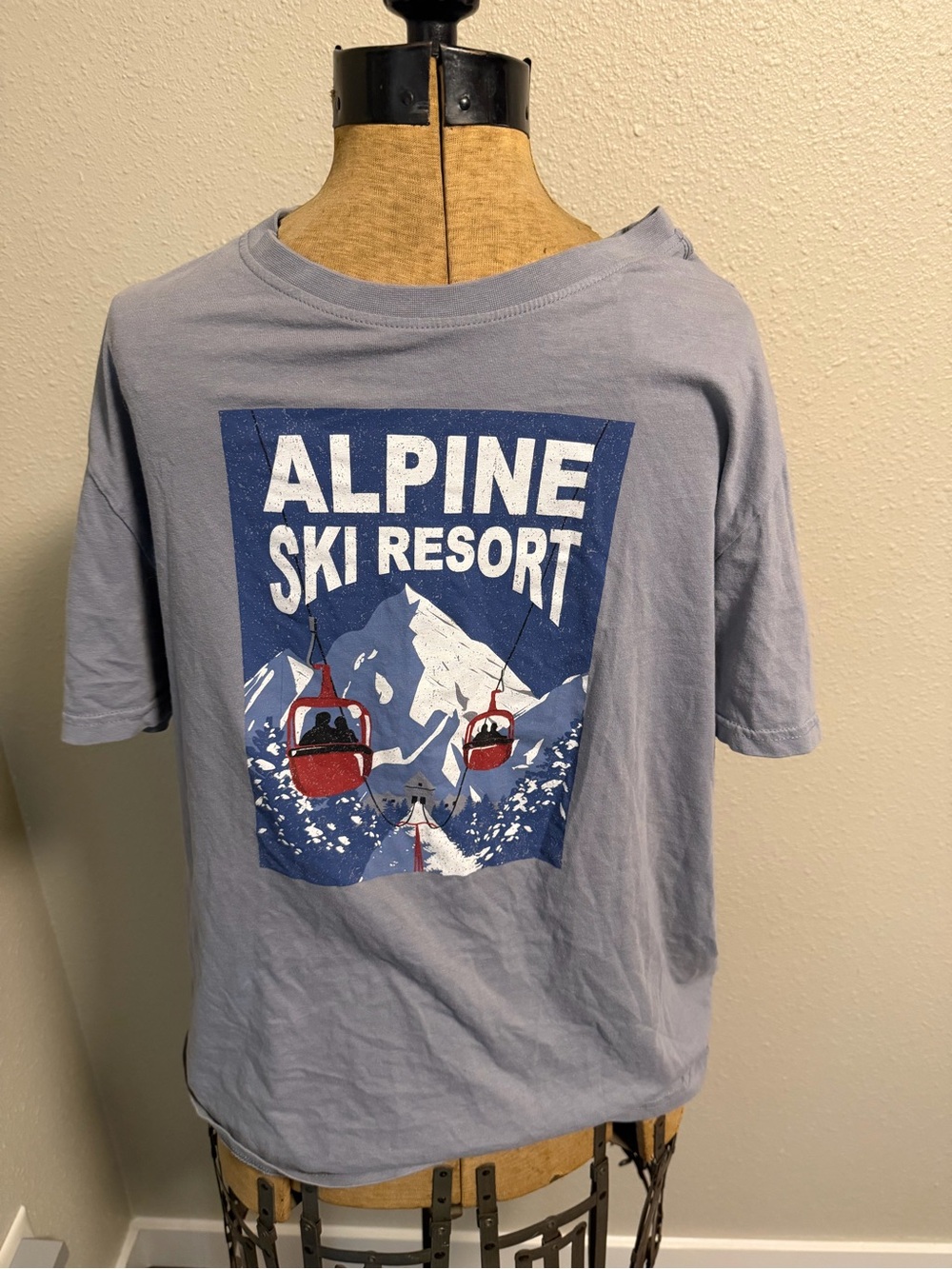 dip Alpine Ski Resort Graphic Tee - Light Blue with Navy & Red Print